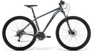 Amulet 29 Rival 2.0 anthracite/black 2022 - Mountain Bike