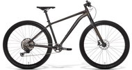 Amulet 29 Youngster carbon 1.12 gold-black matt/black matt 2022 17/M - Children's Bike