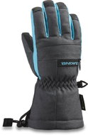 Dakine AVENGER GORE-TEX GLOVE grey, sizing. M - Ski Gloves