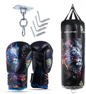 DBX BUSHIDO Kids boxing set Leon - bag, gloves, mounting - Boxing Set