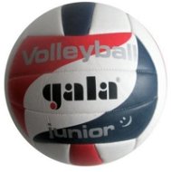 Míč volejbal Junior Gala 5093S - Volejbalový míč