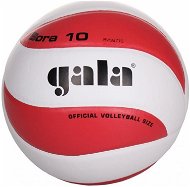 Míč volejbal Gala Bora 10 BV5671S - Volejbalový míč