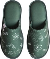 Dedoles Veselé pantofle Fyzika vs. Chemie zelená EU 47 / 315 mm - Slippers