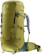 Deuter Aircontact Core 50+10 cactus-ivy - Tourist Backpack