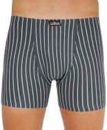 Gino 74130 - grey, sizing. XXL - Boxer Briefs