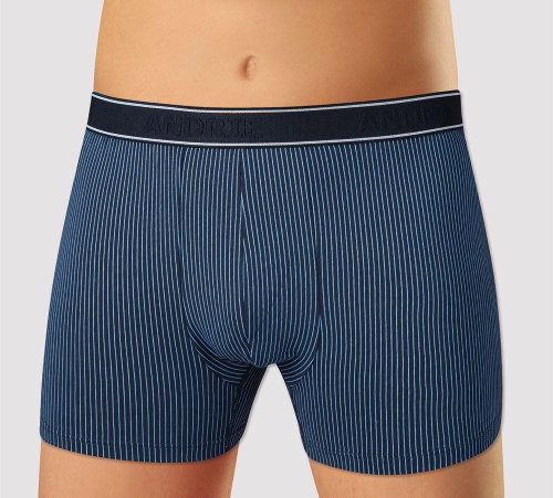 Andrie PS 5542 B - dark blue, blue stripe, sizing. XXL - Boxer Briefs - Main image