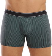 Andrie PS 5542 C - green stripes, sizing. M - Boxer Briefs