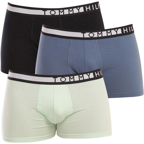 Tommy Hilfiger 3Pack UM0UM02202 0RY, sizing. M - Boxer Briefs - Main image