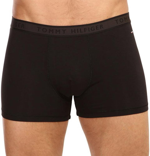 Tommy Hilfiger UM0UM02333 BDS, sizing. S - Boxer Briefs - Main image