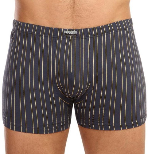 Andrie PS 5332 B - grey, sizing. XL - Boxer Briefs - Main image