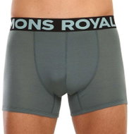 Mons Royale 100087-1169-368, sizing. L - Boxer Briefs