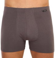 Andrie PS 5341 C - grey, sizing. M - Boxer Briefs