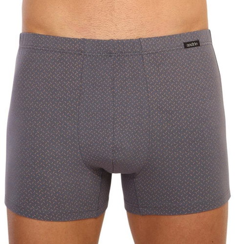 Andrie PS 5596 B - grey, sizing. M - Boxer Briefs - Main image
