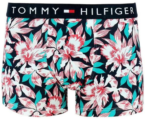 Tommy Hilfiger UM0UM01831 0GX, sizing. XL - Boxer Briefs - Main image
