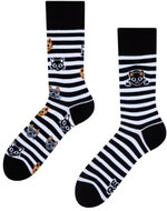 Dedoles Good Mood GMRS122 - cats & stripes - Socks