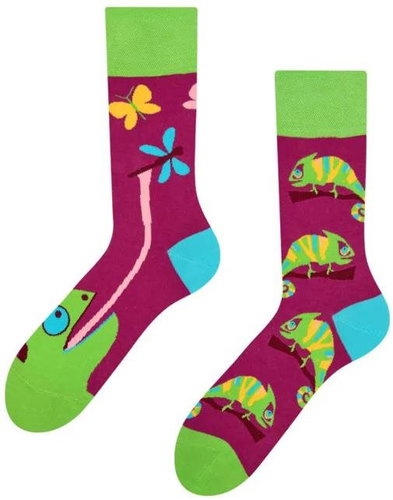 Dedoles Good Mood GMRS073 - Chameleon - Socks - Main image