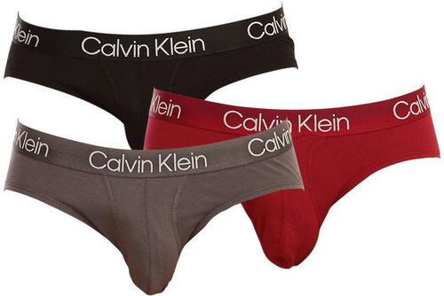 Calvin Klein 3Pack NB2969A-UW7, sizing. L - Briefs - Main image
