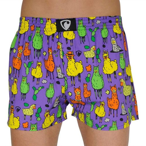 Represent R1M-BOX-0662 - Llama - Boxer Shorts - Main image