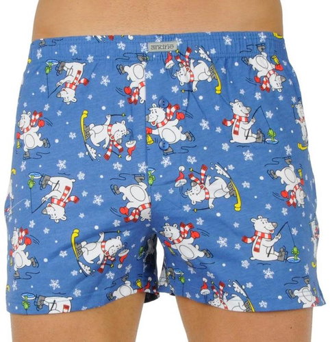 Andrie PS 5599 A - blue, bear, size 2.5 mm XL - Boxer Shorts - Main image