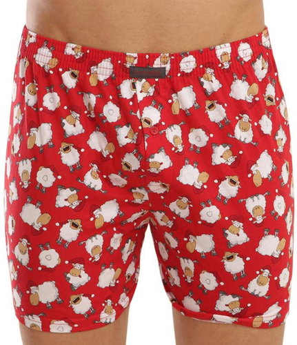 Cornette 016/09, sizing. XL - Boxer Shorts - Main image