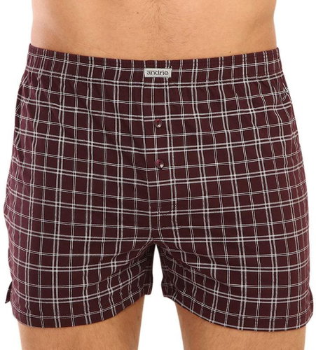 Andrie PS 5567 C - brown, size 3XL - Boxer Shorts - Main image