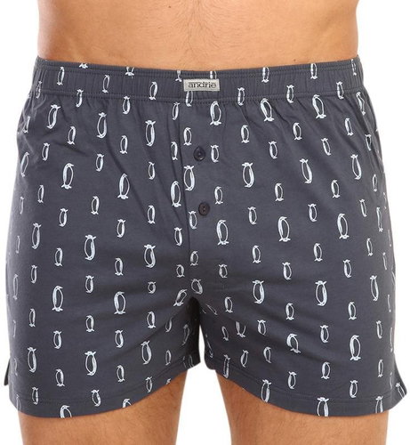 Andrie PS 5579 B - grey, size 3XL - Boxer Shorts - Main image