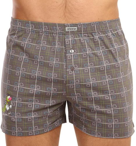 Andrie PS 5602 D - grey - Boxer Shorts - Main image