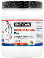 Survival Instant Amino Fair Power 400 g strawberry mojito - Amino Acids