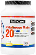 Survival Palatinose Gain 20 Fair Power 1200 g vanilla - Gainer