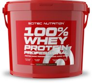 Scitec Nutrition 100% WP Professional 5000 g chocolate - Protein