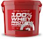 Scitec Nutrition 100% WP Professional 5000 g chocolate coconut - Protein