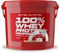 Scitec Nutrition 100% WP Professional 5000 g vanilla - Protein