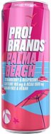 ProBrands BCAA Drink 330 ml strawberry - raspberry (Palma Beach) - Sports Drink