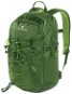 Sports Backpack Ferrino Rocker 25 2020 - green - Sportovní batoh