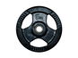 Závaží na činky FitnessLine Kotouč litinový pogumovaný 30 mm - 5 kg - Závaží na činky