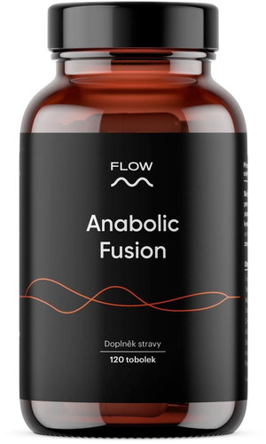 Flow Anabolic fusion 2.0 120 capsules - Anabolizer - Main image