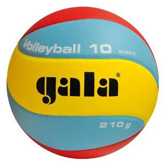 Gala Volleyball 10 BV 5551 S - 210g - Volejbalový míč - Hlavní obrázek