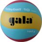 Gala Volleyball 10 BV 5541 S - 180g - Volejbalový míč