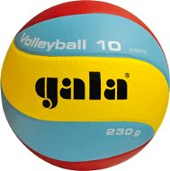 Gala Volleyball 10 BV 5651 S - 230g - Volejbalový míč