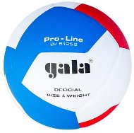 Gala Pro Line 12 BV 5125 S - Volejbalová lopta
