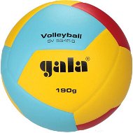 Gala Training BV 5545 - 190 g - Volleyball