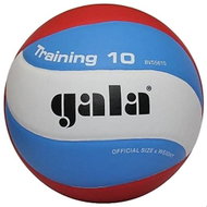 Gala Training BV5561S - Volleyball