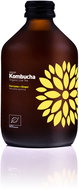 VIGO Kombucha Turmeric + ginger BIO 330 ml - Drink