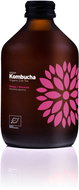 VIGO Kombucha Mango + passion fruit Organic 330 ml - Drink