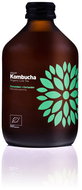 VIGO Kombucha Cucumber and coriander BIO 330 ml - Drink