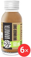 VanaVita Bio Ginger shot with matcha, 6 x 60 ml - Sportovní nápoj
