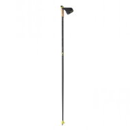 Fischer RCS - Running Poles