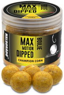 Haldorádó Boilies Dipped Max Motion 80 g 20 mm Champion corn - Boilies