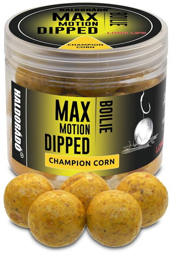 Haldorádó Boilies Dipped Max Motion 80 g 20 mm Champion corn - Boilies - Main image