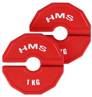 HMS Progressive discs TSN100 2 pcs, 1 kg - Gym Weight